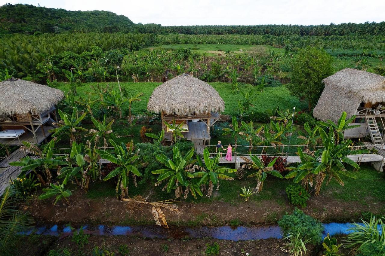 Samana Ecolodge El Limon Luaran gambar