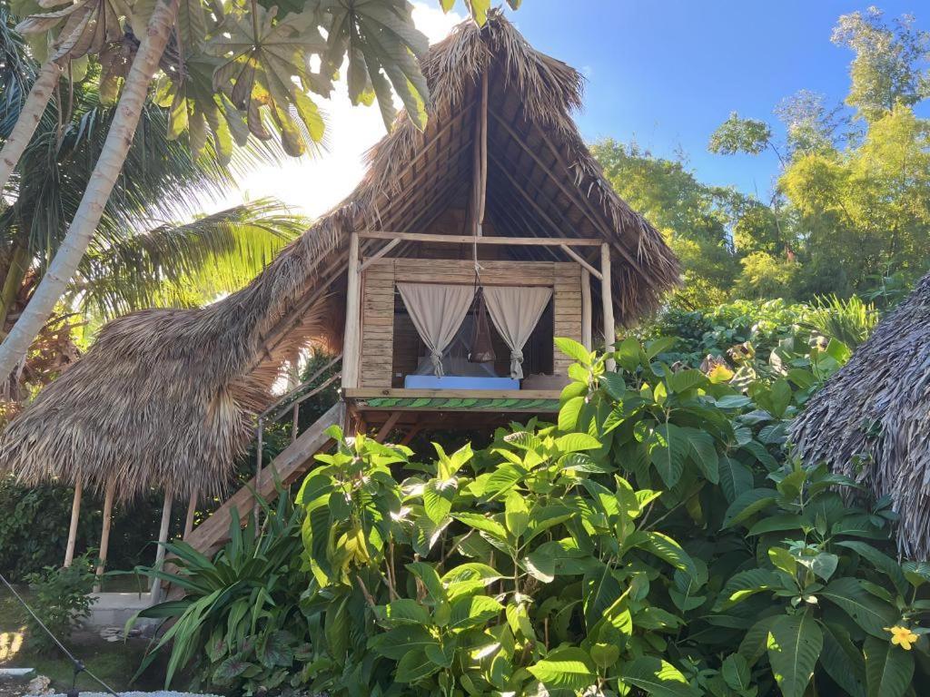 Samana Ecolodge El Limon Luaran gambar