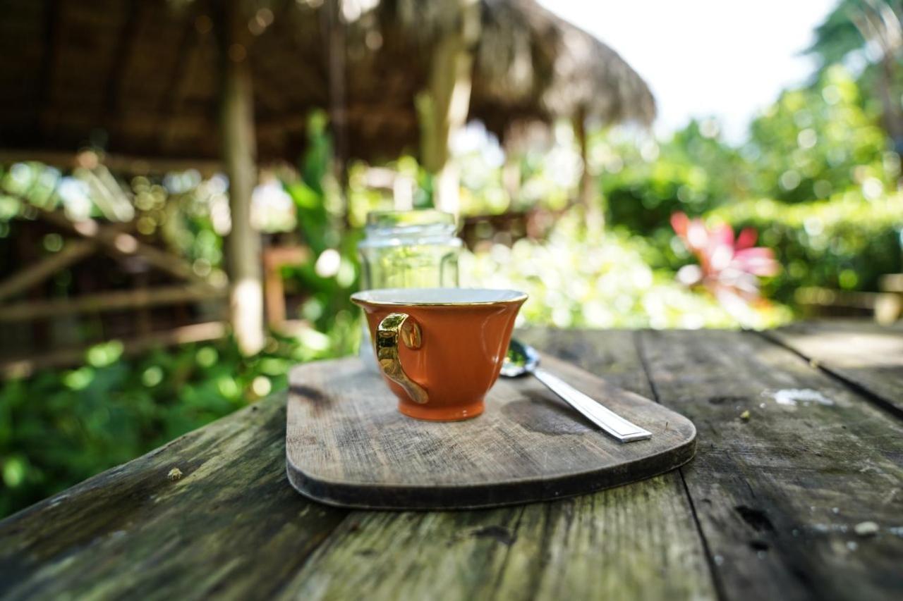 Samana Ecolodge El Limon Luaran gambar
