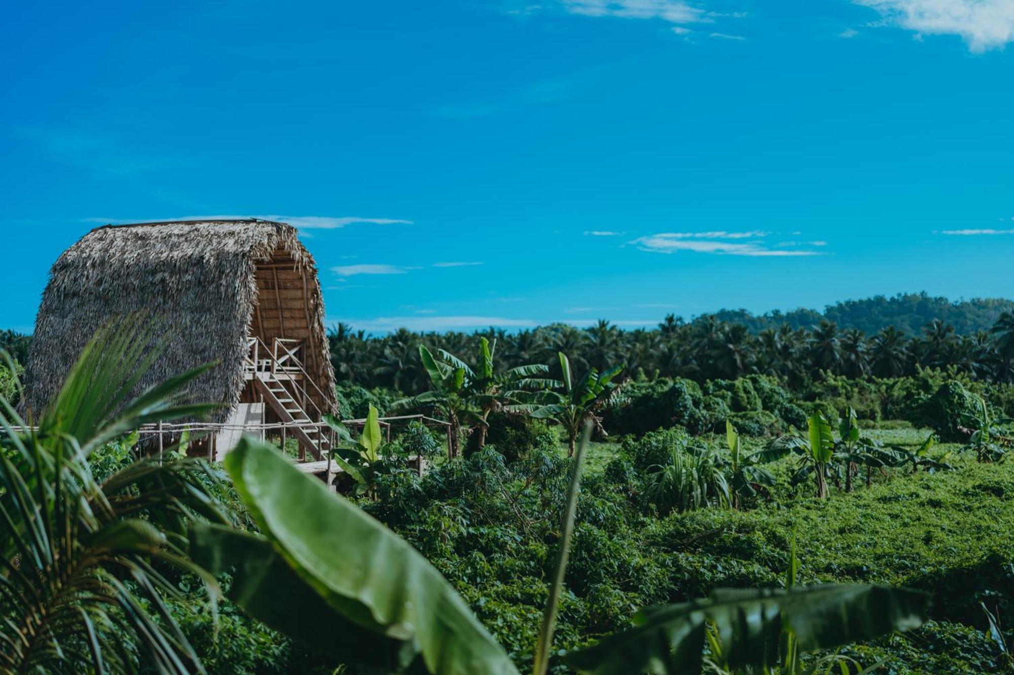 Samana Ecolodge El Limon Luaran gambar
