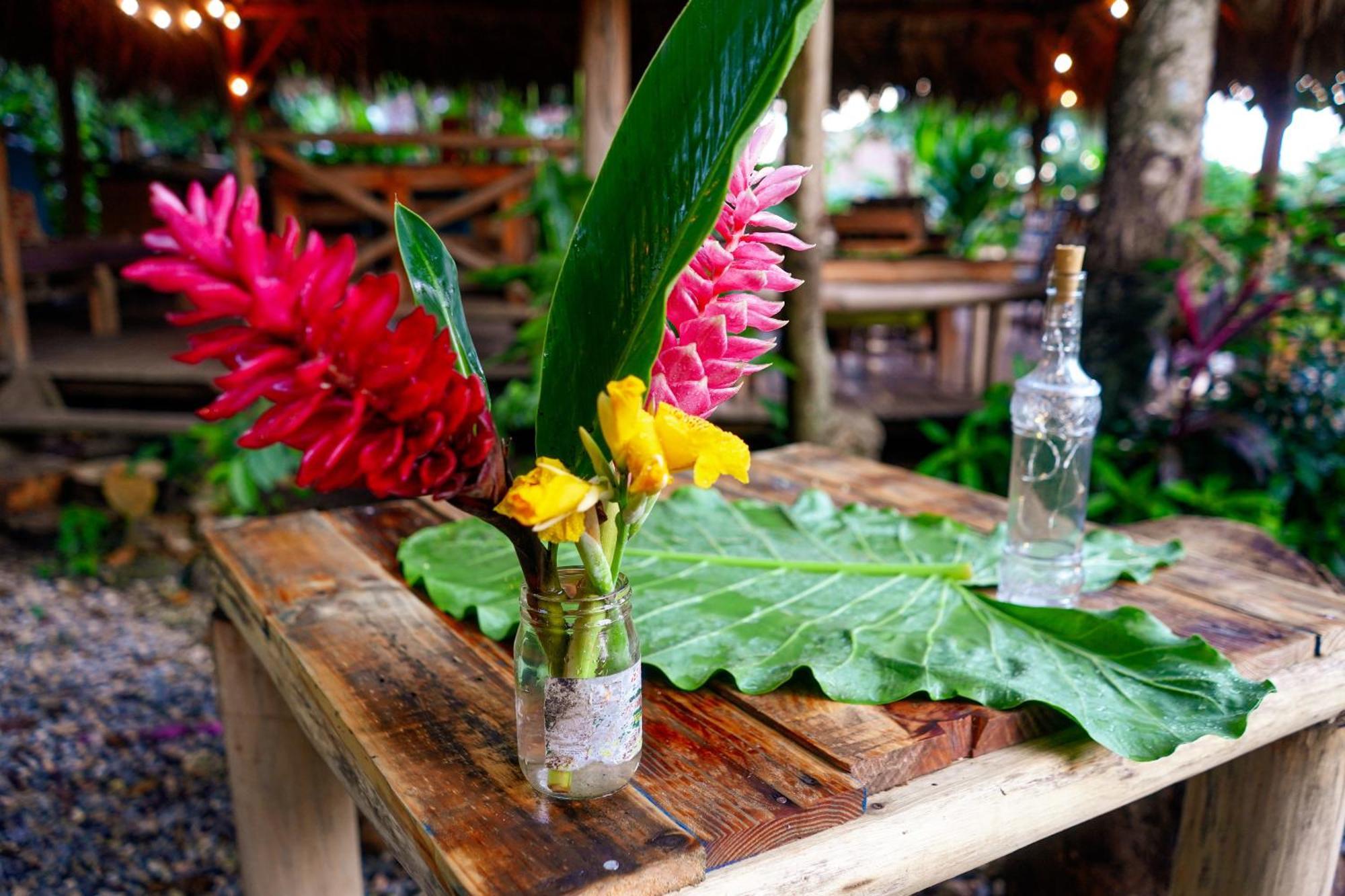 Samana Ecolodge El Limon Luaran gambar